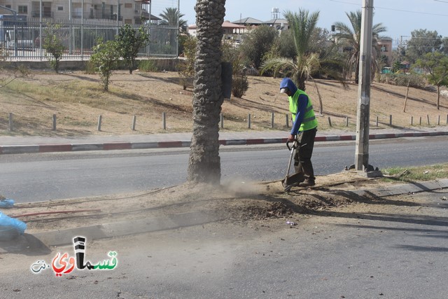 فيديو - كفر قاسم :  بعد النشر في قسماوي نت  البدء بالمراحل الاولى من البستنة والتشجير في جزر مدخل المدينة 